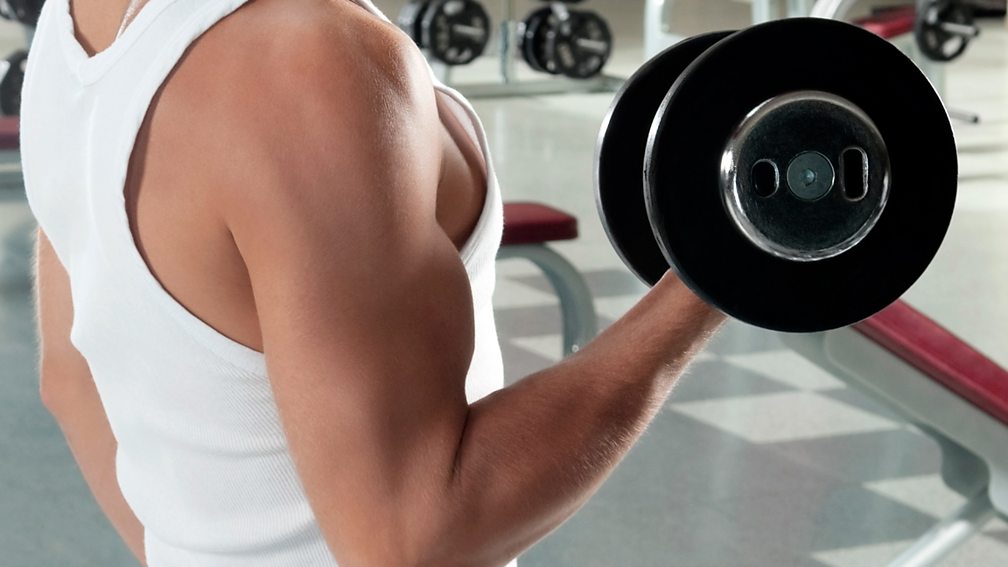 Types of joint movement in the skeletal system Skeletal system