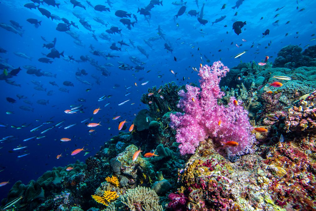 BBC Radio 4 - Costing the Earth, Sinking Solomon Islands - Stunning ...