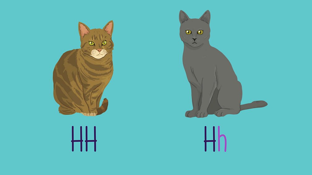 Ten cats that made history BBC Bitesize