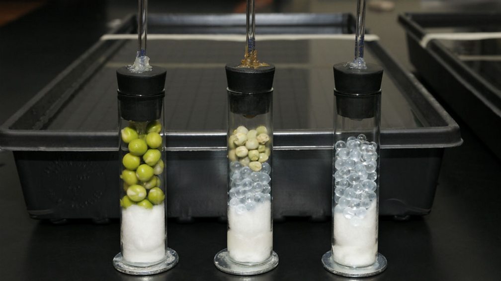 Practical questions Sample exam questions exchange and transport in