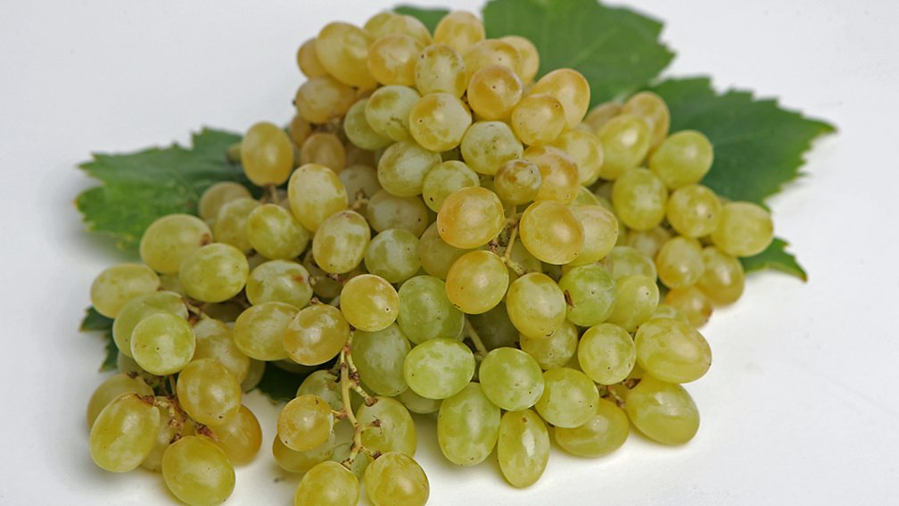 Use of plant hormones Plant hormones Edexcel GCSE Biology (Single