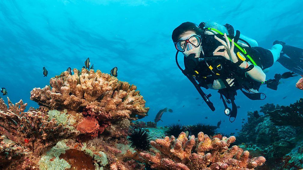 BBC - 7 words you probably didn't know were acronyms