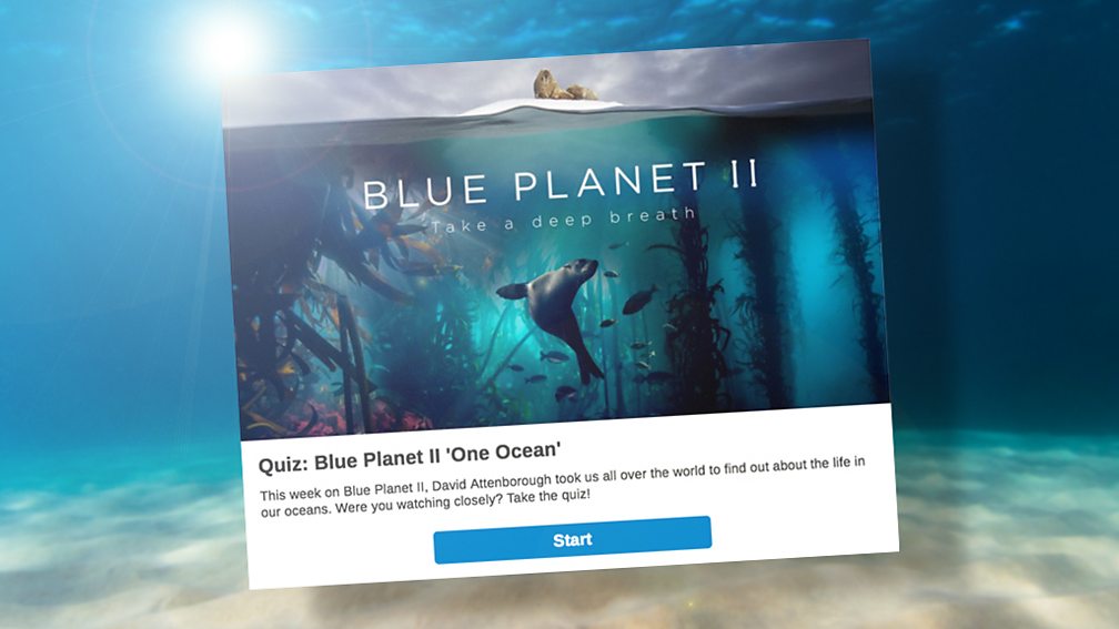 Blue first. Blue Planet (2nd Edition). The Blue Planet план. Blue watch online. Blue Planet чемодан.