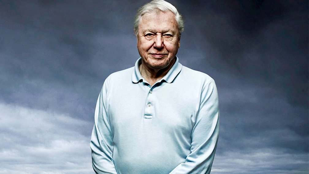 BBC - 10 Things We've Learned From Sir David Attenborough