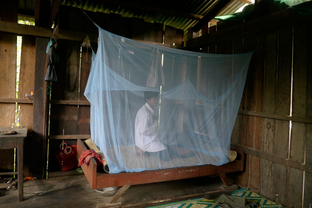 Malaria Improving global health care 3rd level Geography Revision