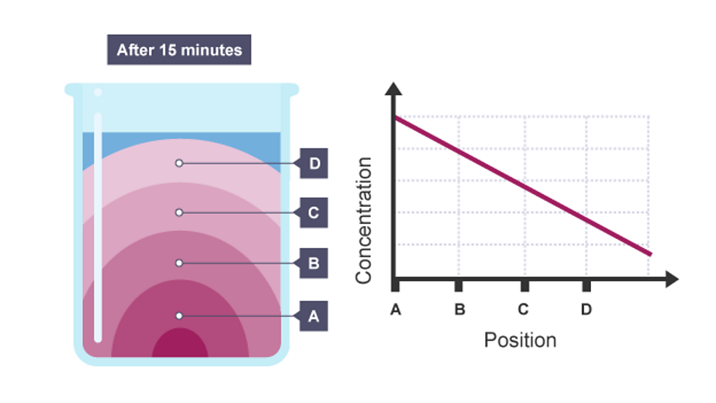 Solids, Liquids and Gases BBC Bitesize