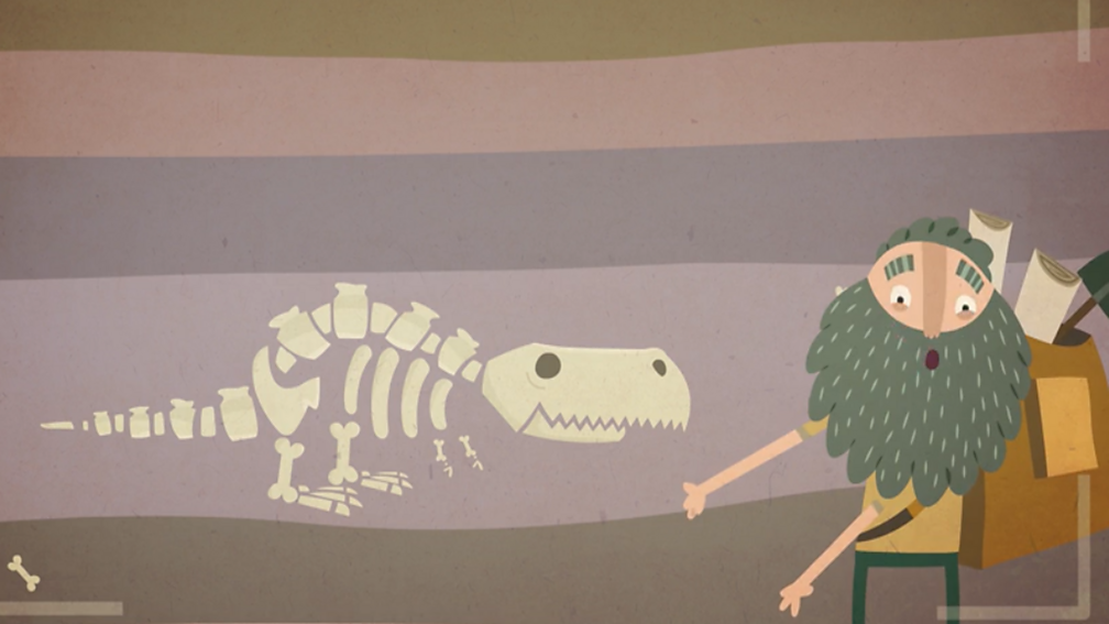 What can fossils tell us? BBC Bitesize