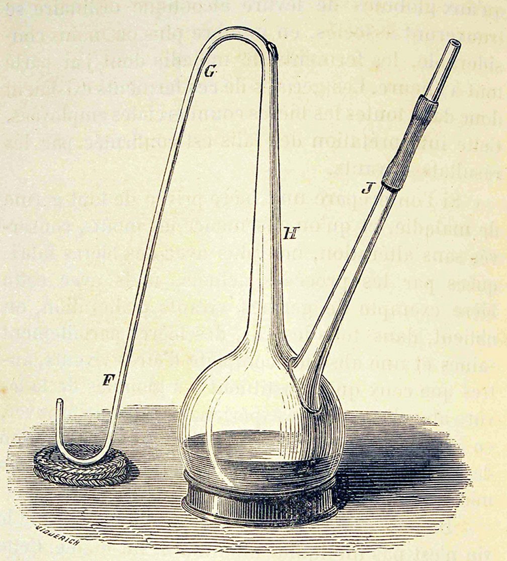 Louis Pasteur Experiment