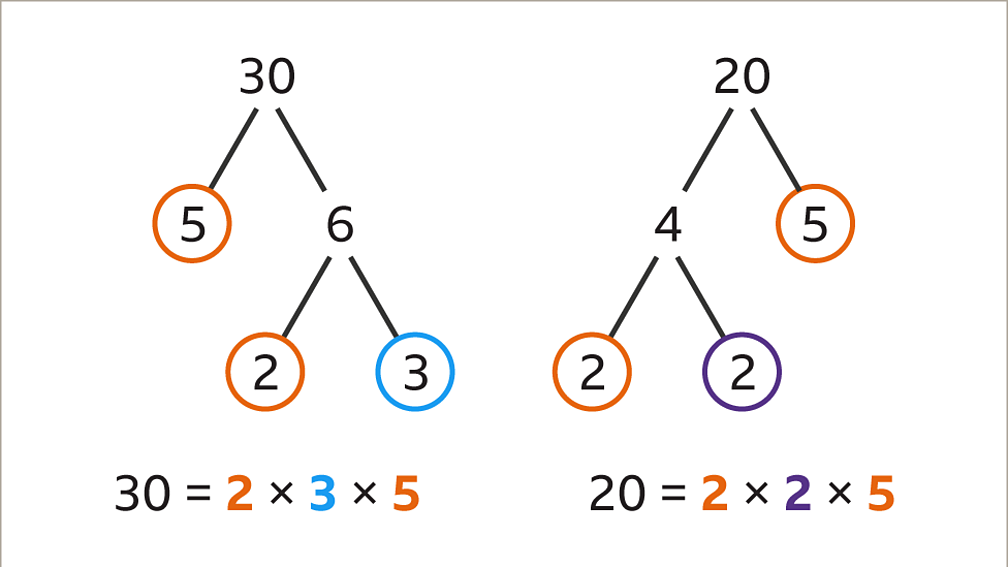 What is a common factor in maths? - BBC Bitesize