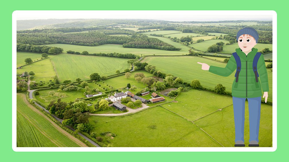 Exploring how people live in the UK | KS2 Geography | Year 5 and Year 6 ...