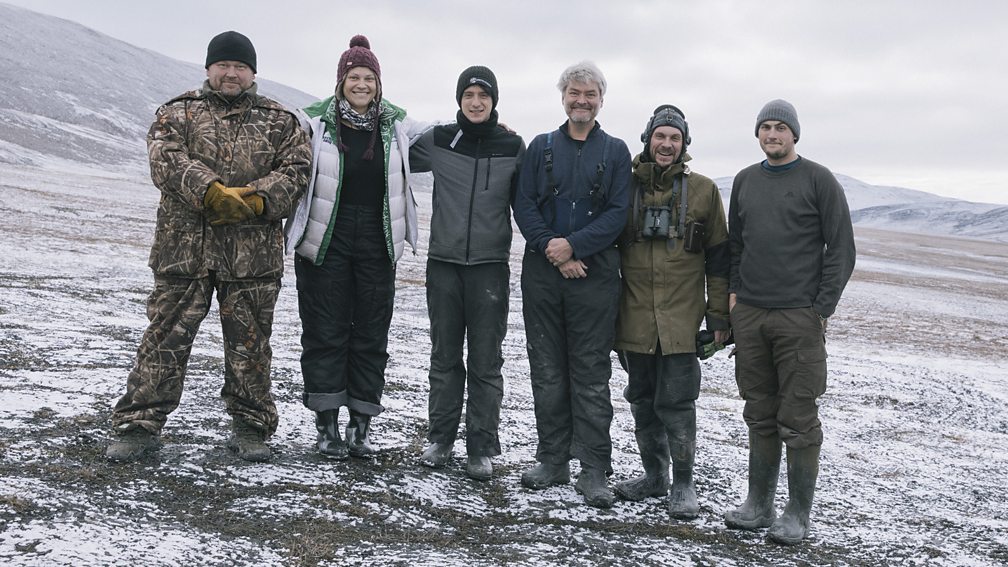 BBC One Frozen II Polar bear island