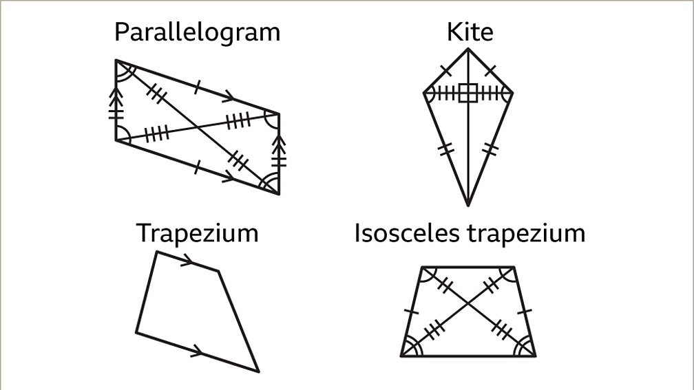 Properties of quadrilaterals KS3 Maths BBC Bitesize BBC Bitesize