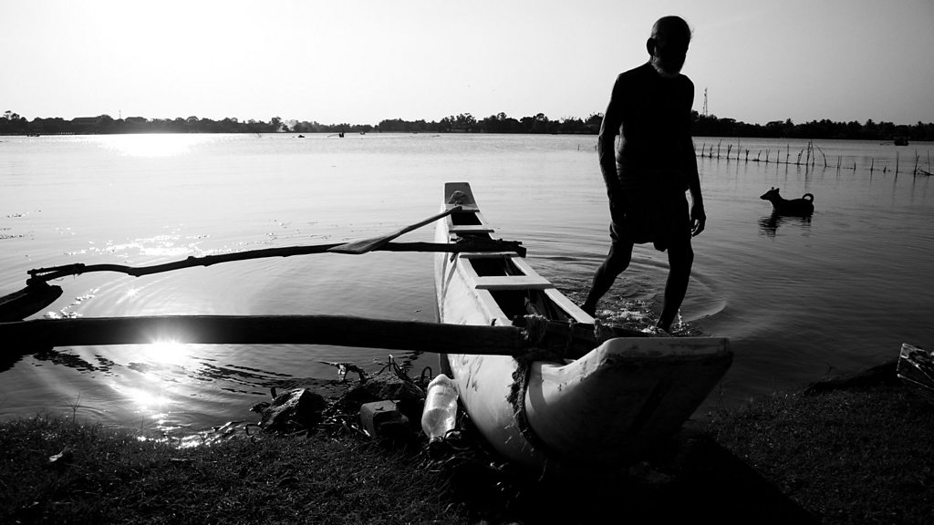 The Singing Fish of Batticaloa - BBC Sounds