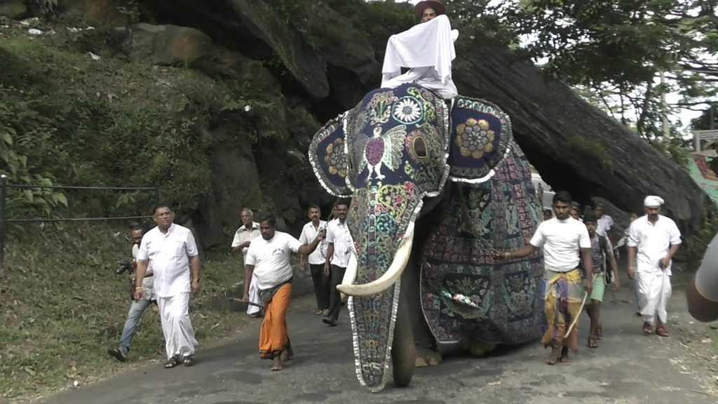 ඇසළ පෙරහැර ඇරඹුමට කප වැඩම කරයි Bbc News සිංහල