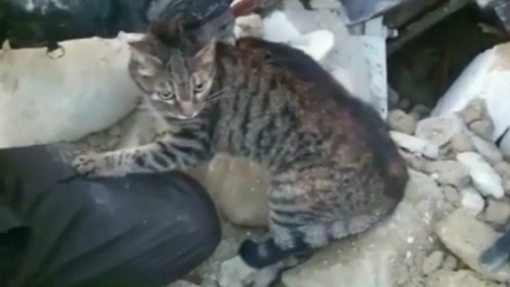 Novopolotsk porno rasmlar