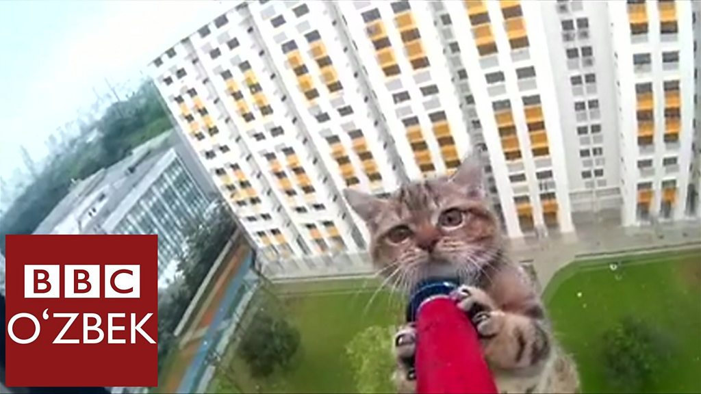 Jinsiy aloqa uchun etuk eskortlar