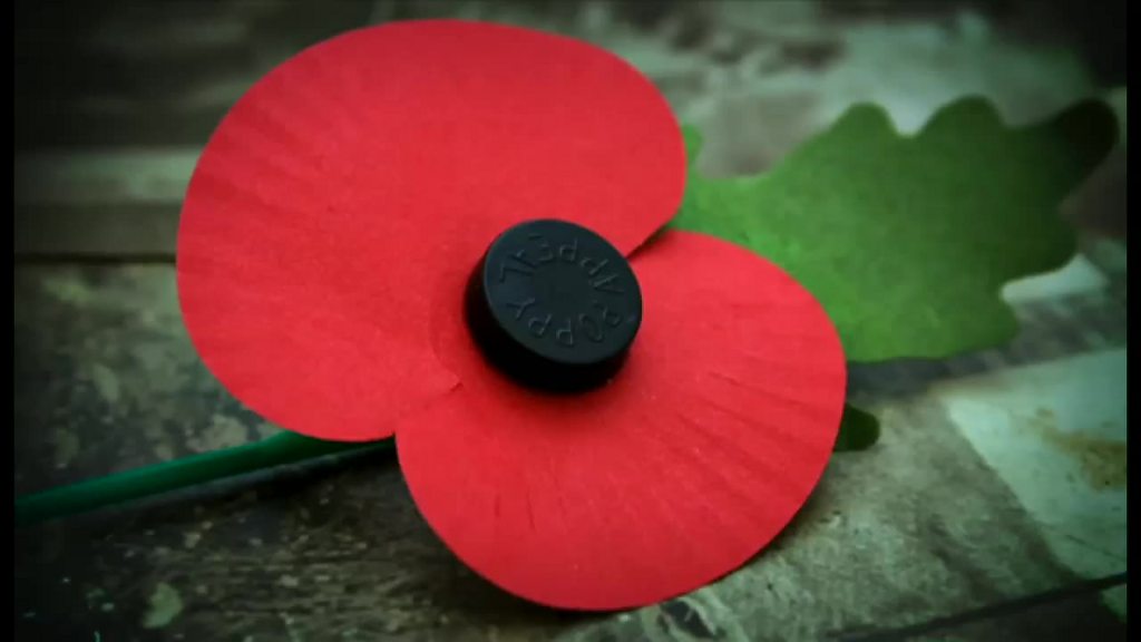 11月に英国人が胸にする赤い花 戦没者を追悼し cニュース