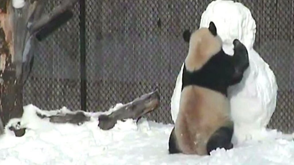 パンダ SHIBUYA SCRAMBLE FIGURE、TVアニメ『呪術廻戦』より パンダが1/7