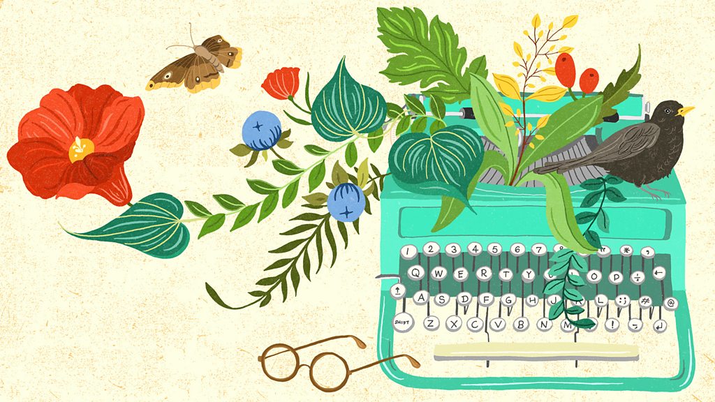 Doctor Who: Buper Quiz Book Bind Up : BBC: Aazon.in - Foto 4