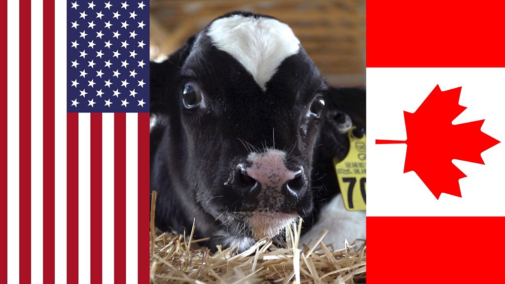 Trump 'considering draft order to scrap Nafta'