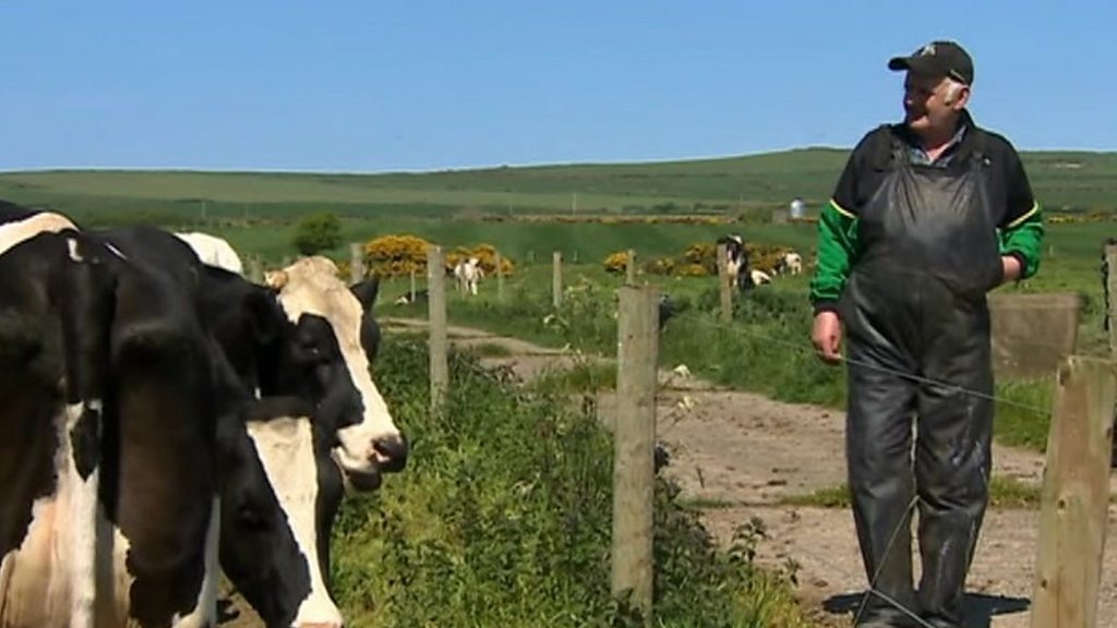 Haverfordwest abattoir collapse 'costs farmers money'