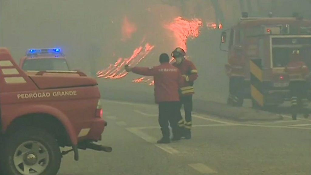 ポルトガル山火事で61人死亡 3日間の服喪 cニュース