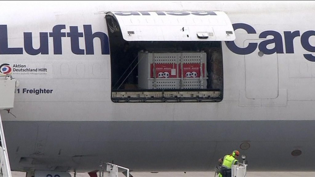 Pandas in Berlin: Meng Meng and Jiao Qing arrive in new home