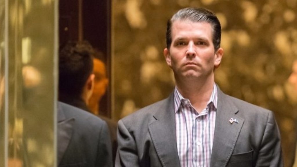 Did Donald Trump Jr break the law?