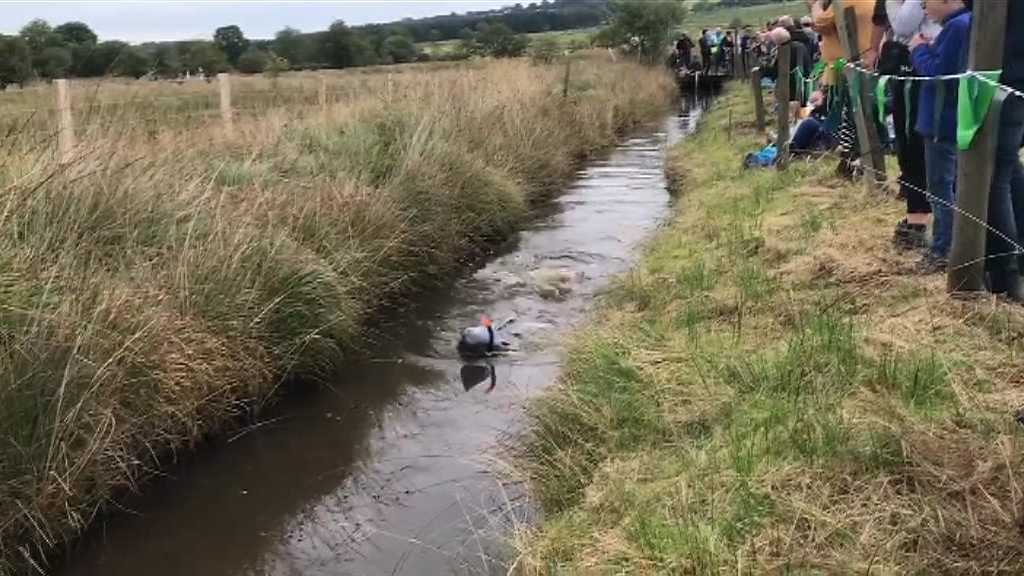 Bog snorkelling at World Alternative Games, Llanwrtyd Wells BBC News