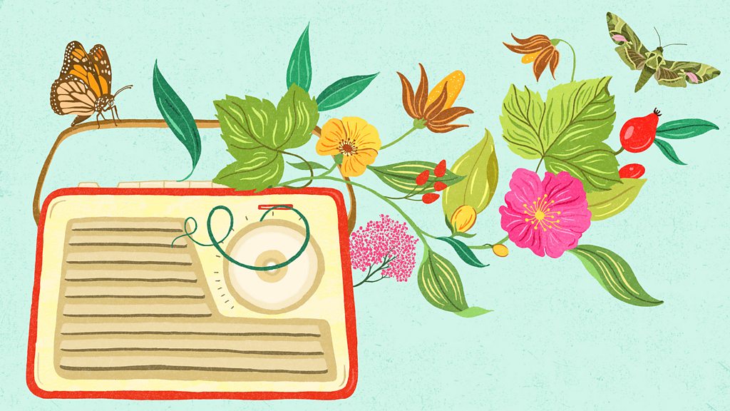 BBC Sounds Book at Bedtime Available Episodes