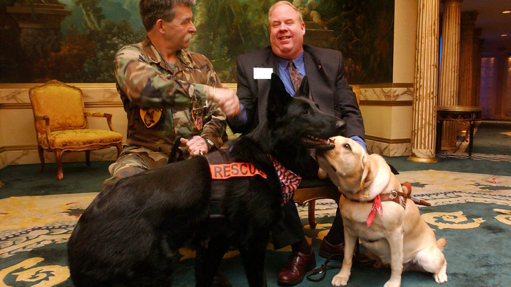 Witness History - Roselle - The 9/11 Guide Dog - BBC Sounds