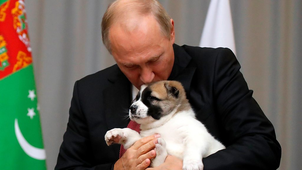 愛犬家のプーチン氏、誕生日に子犬をもらう BBCニュース