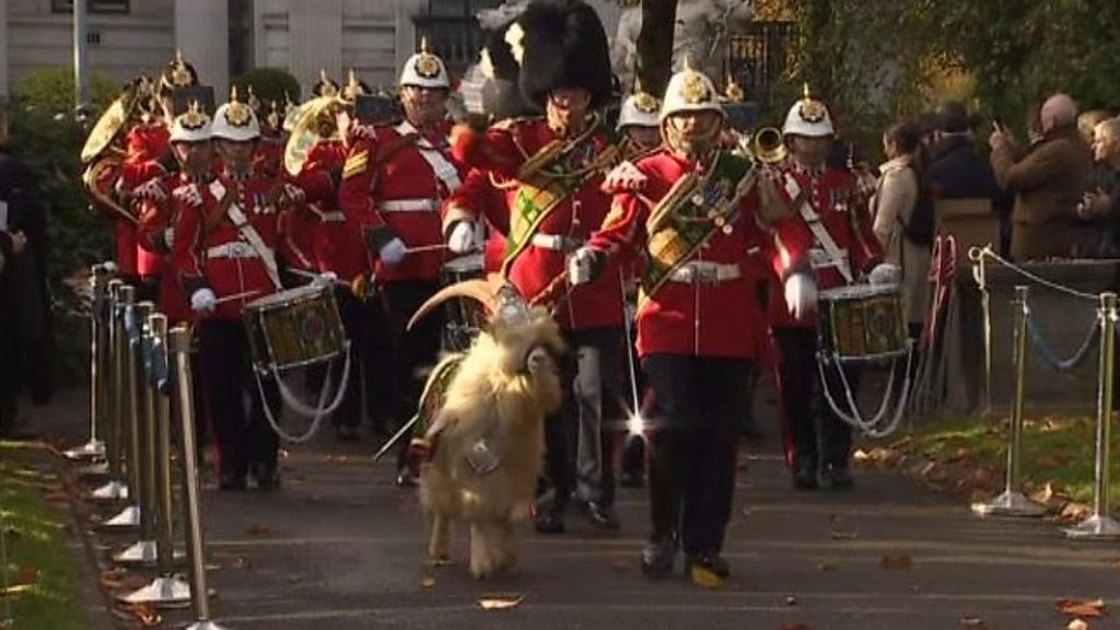 Remembrance Sunday Wales pays tribute to fallen BBC News