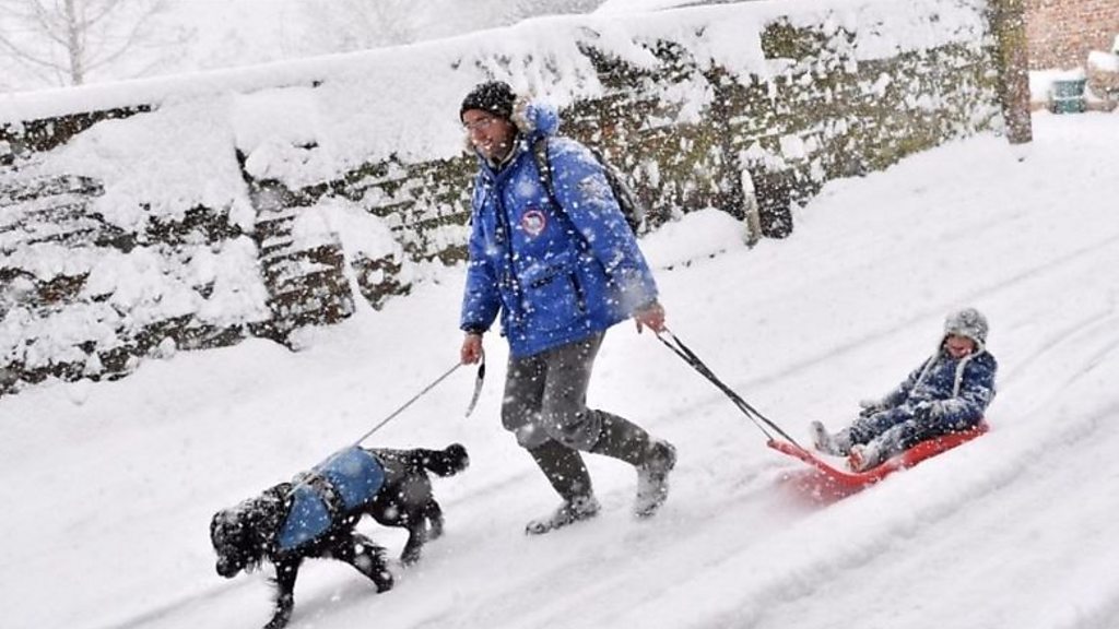 欧州寒波で英国にも雪 人も犬も馬も喜び cニュース