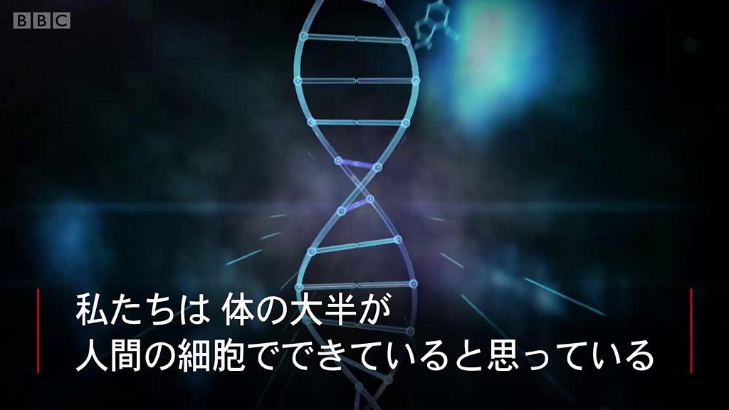 人体の半分は人間ではない マイクロバイオームの世界 cニュース