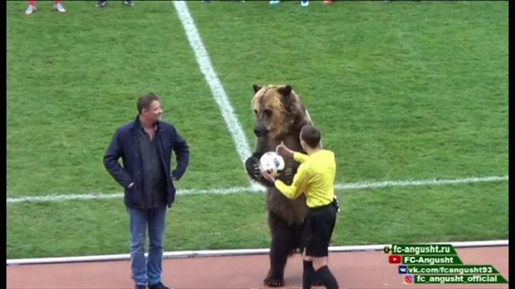 サッカーの試合でクマが演技 「非人道的」と批判 - BBCニュース