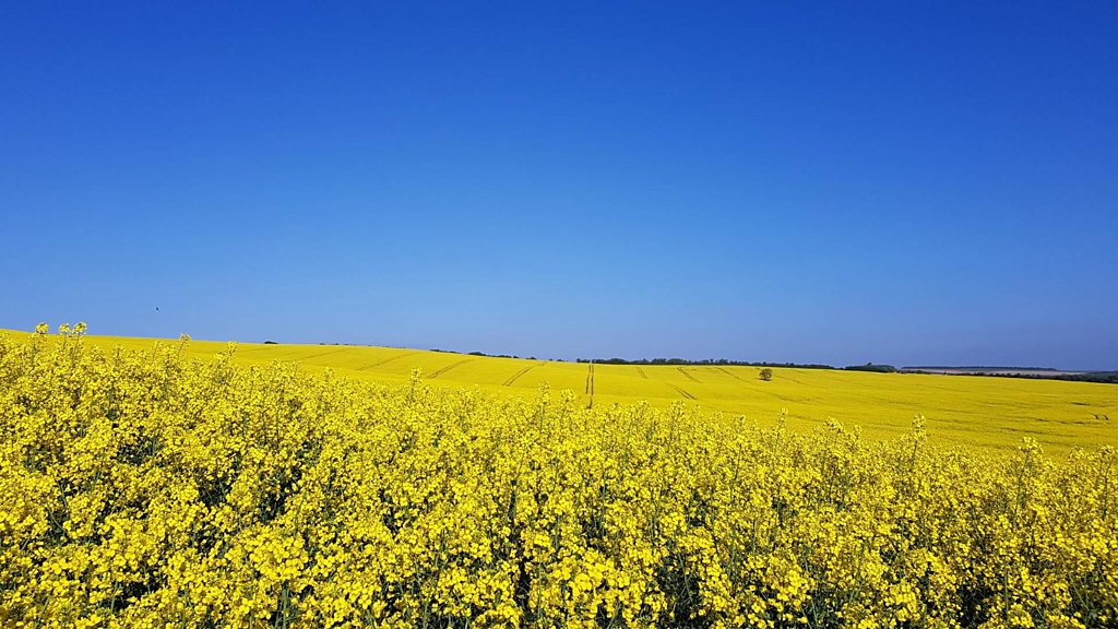 Hottest early May Bank Holiday Monday expected - BBC News