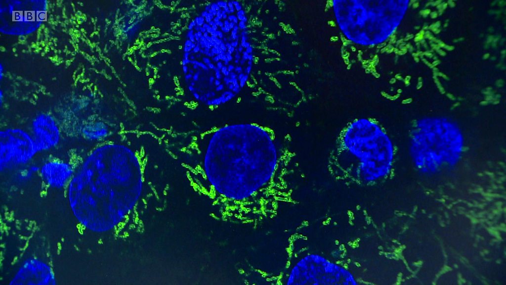 Scotland's most powerful microscope unveiled BBC News