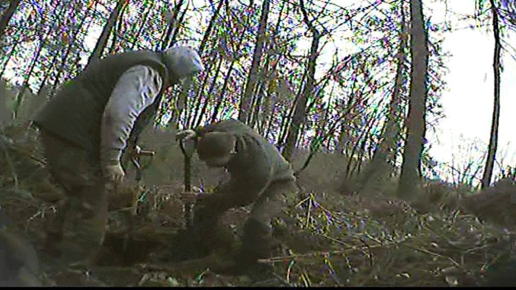 Badger Baiting Wales Secret Hunting Network Exposed Bbc News 