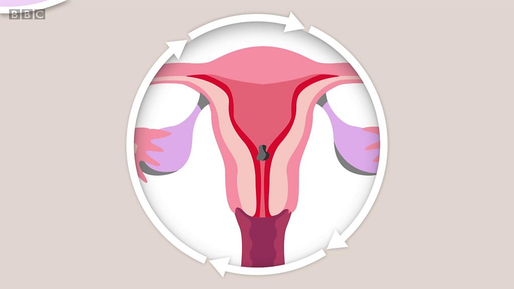 VIX  Menstruação, Cor da menstruação, Mestruação