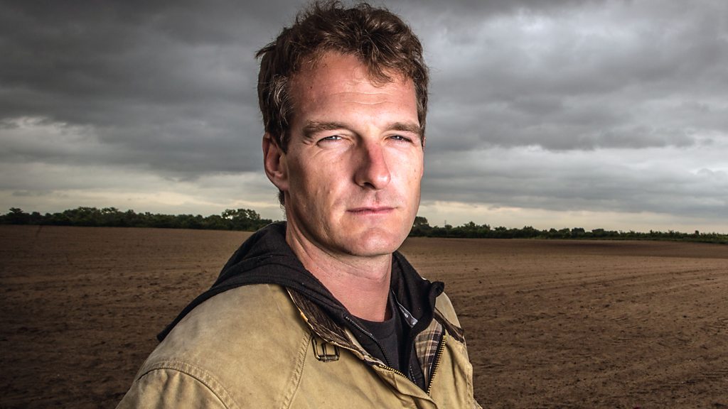 BBC Audio | The Media Show | Plotting the future of history on TV
