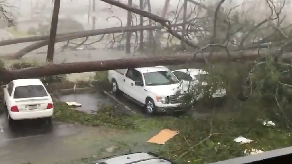 'Monster' US hurricane lashes Florida