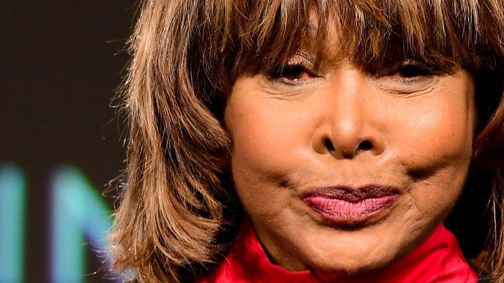 Tina Turner opens up about son's suicide - BBC News