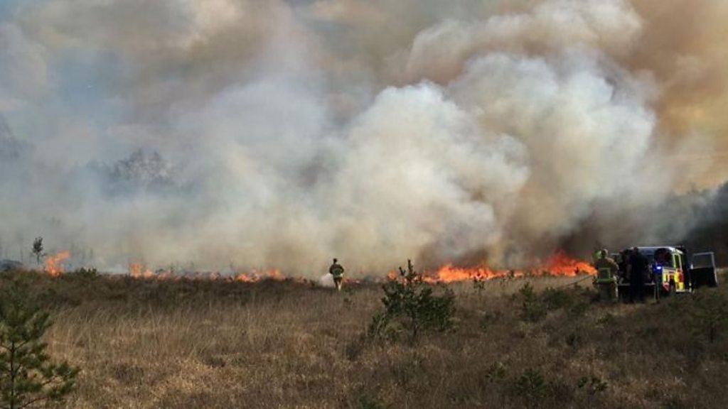 Chobham Common fire: Large blaze engulfs nature reserve - BBC News