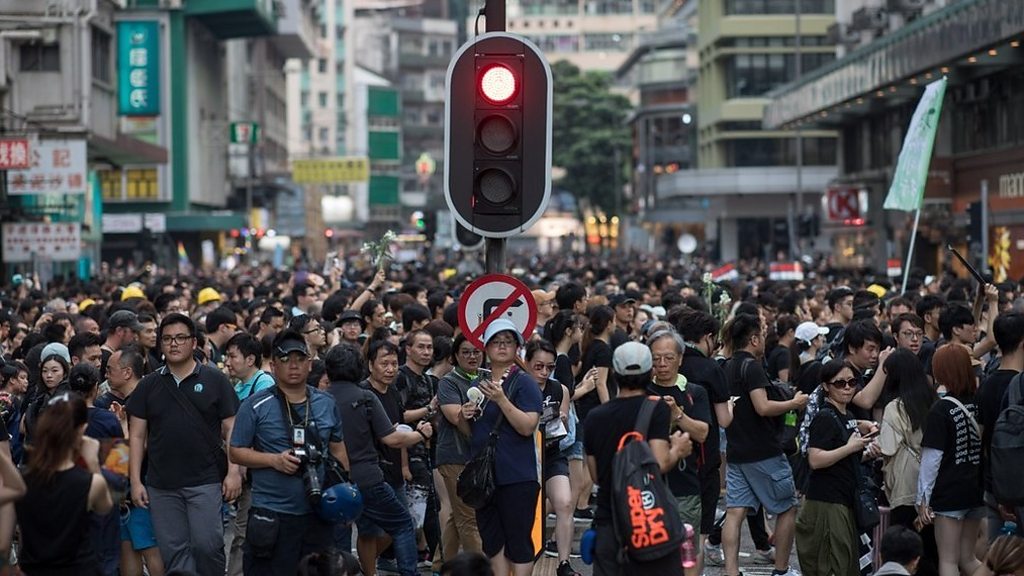 Hong Kong protest 'largest in decades'