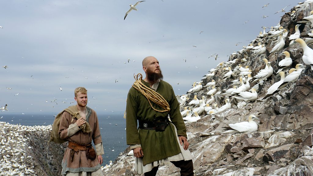 BBC Scotland Wild Way of the Vikings, Hungry for a delicacy, two Vikings climb a colony