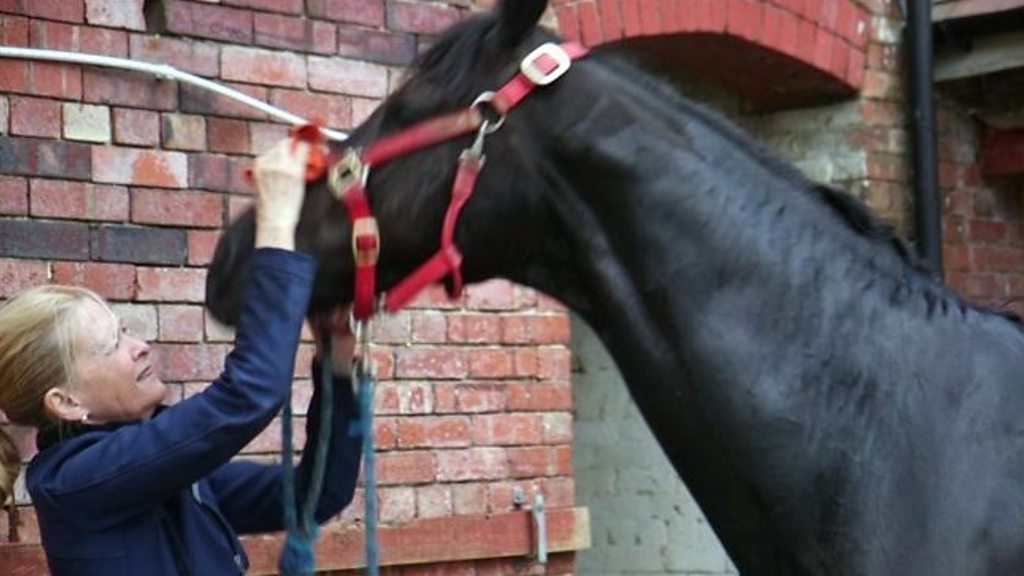 देख नहीं सकतीं, पर सरपट घोड़ा