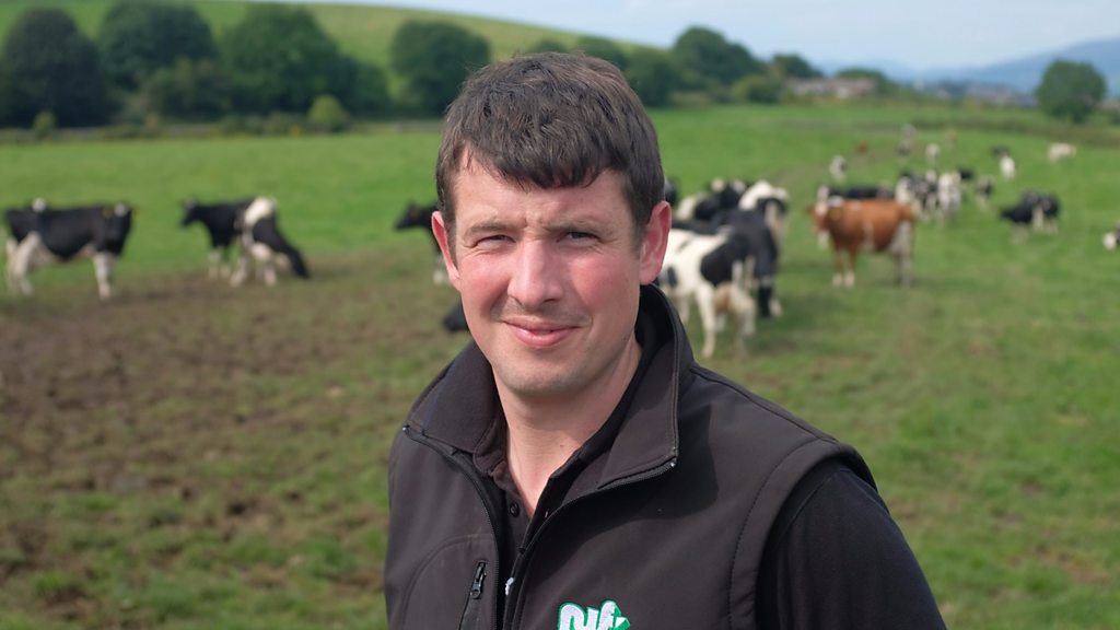 No-deal Brexit 'could cost farms £850m in profits'