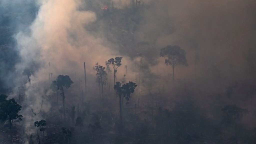 Brazil seeks to curb Amazon fires with ban