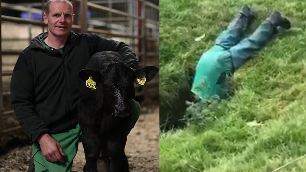 Calf stuck in underground pipe rescued by farmer